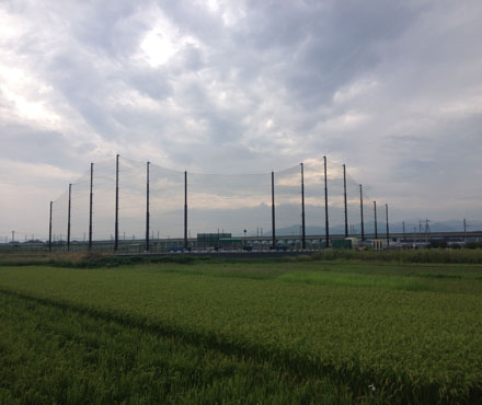 実績写真：南部野球場（群馬県高崎市）